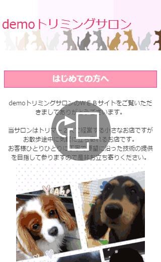 美容・エステのデモサイト1