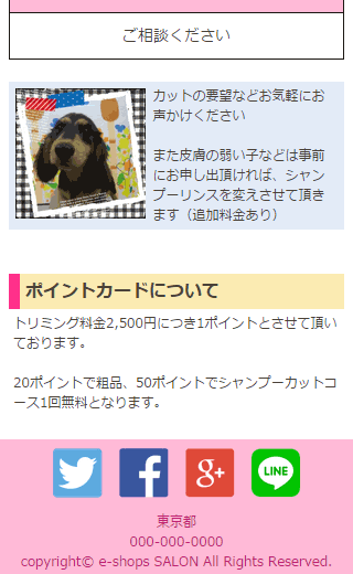 美容・エステのデモサイト3